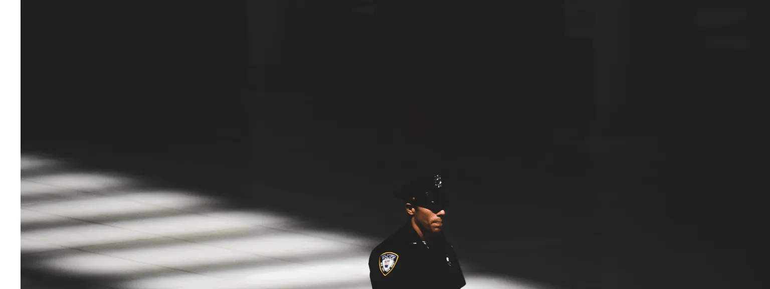 Dynamic Security Agency